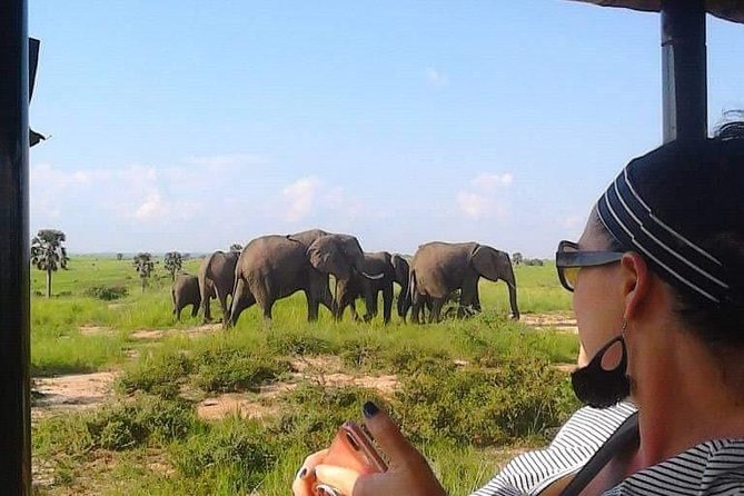 7-Day Uganda Adventure Safari - Midrange Lodges - Day 1: Entebbe arrival and a simple start in Kampala