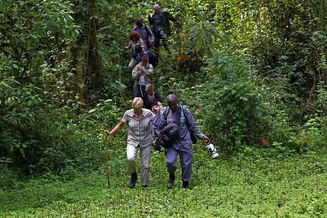 7 Days Flying Gorillas and Wildlife Safari Uganda Private Tour - Why this seven-day Uganda route works