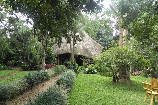 7 Days Flying Gorillas and Wildlife Safari Uganda Private Tour - Day 5: Ishasha and the road to Bwindi