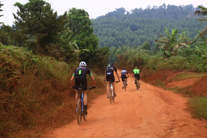 7 Hours Guided Cycling Tour to Sezibwa Waterfalls - Key points to know before you book