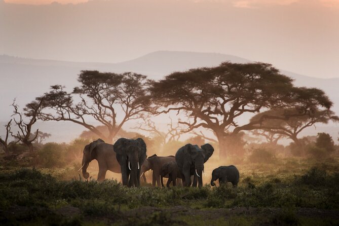 8-Day Classic Uganda Primates & Wildlife Tour - A strong primate trip with plenty of road mileage