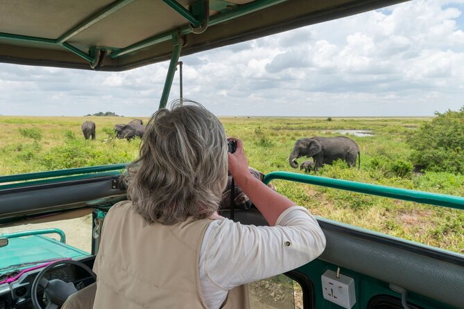 8-Day Classic Uganda Primates & Wildlife Tour - Day 5: Walk across Bwindi, then search for tree-climbing lions