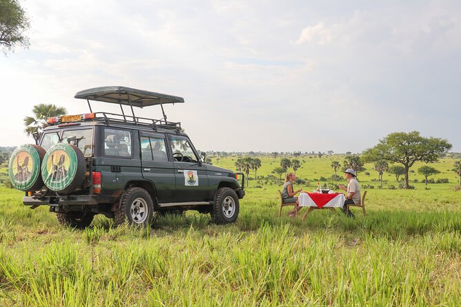 8-Day Private Uganda Big 5 Luxury Safari with Gorillas and Chimps - Chimpanzee tracking near Kanyachu