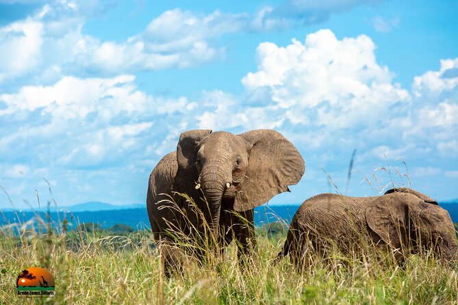 8 Days Gorillas, Primates & Wildlife Safari Uganda Safari - Day 7: From Bwindi to Lake Mburo