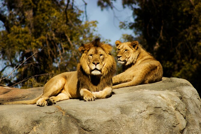 9 Days Uganda Wildlife Safaris, Gorilla Trekking & Hiking - Day 4: Crossing Uganda toward Kibale Forest