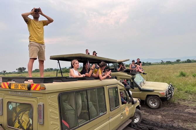 9 Days Uganda Wildlife Safaris, Gorilla Trekking & Hiking - Day 5: Chimpanzees at Kibale, then on to Queen Elizabeth