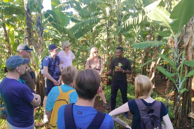 Coffee Tour Experience - The Story Behind Ugandan Coffee