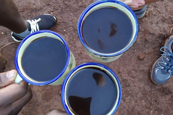 Coffee Tour Experience - Why the Hands-On Work Is Worth Your Time