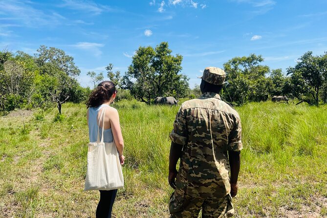 Day Tour Of Ziwa Rhino Sanctuary and Wildlife Ranch - ZIWA RHINO TREKKING - The animals beyond the rhinos