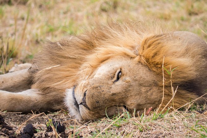 Eight days cultural and wildlife tour in Uganda - Day 6: The Long Road to Kidepo Valley