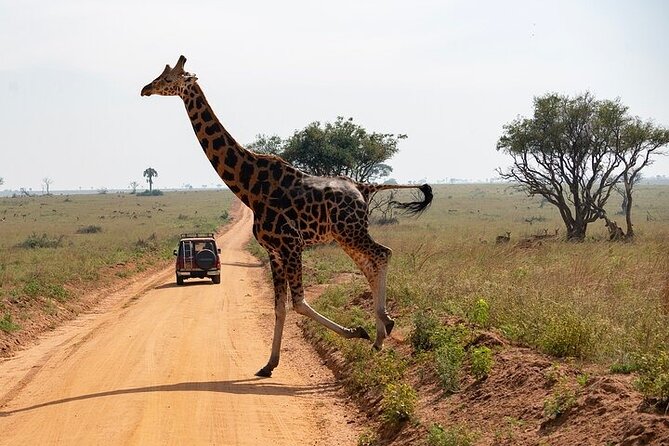 Entebbe Airport pickup (Entebbe - Kampala) reliable 24/7 transfer - Booking, cancellation, and useful planning notes