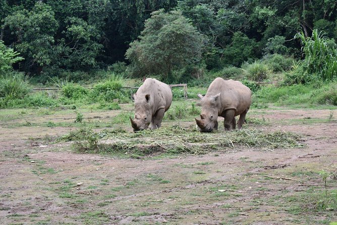 Entebbe Eco Tour - Full Day - Uganda Reptile Village: a close look at feared animals