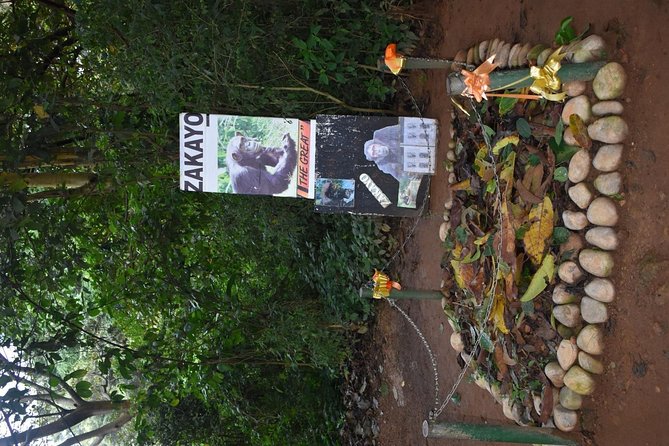 Entebbe Eco Tour - Full Day - How the long day feels in practice