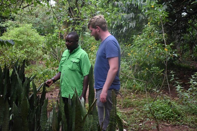 Entebbe Eco Tour - Full Day - Mabamba Swamp and the boat search for a shoebill