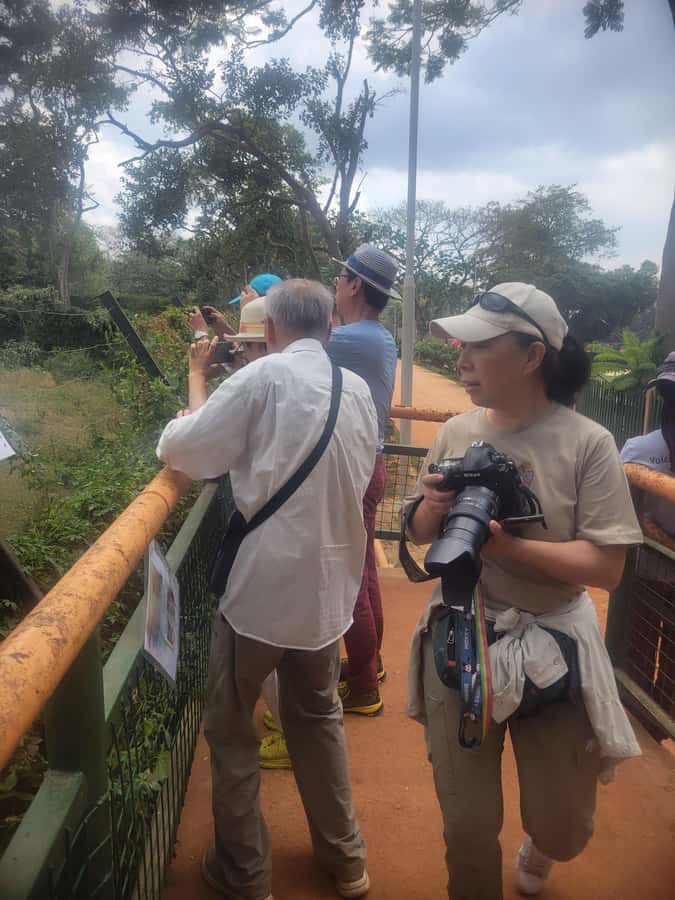 Entebbe: Female-Led Guided Walking Tour - The Botanical Gardens: Birds, Primates, and the Lake