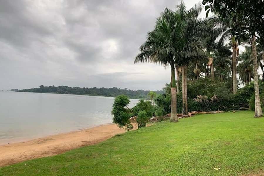Entebbe: Guided Walking Tour - Fresh fruit and the market’s strong smells
