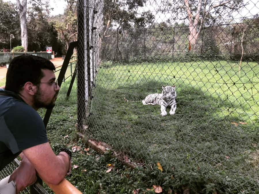 Entebbe: Guided Walking Tour - Muzinga Square and the former governor’s mansion