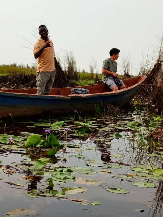 Entebbe: Mabamba Swamp Shoebill Tracking Boat Tour - Who should book this Mabamba trip