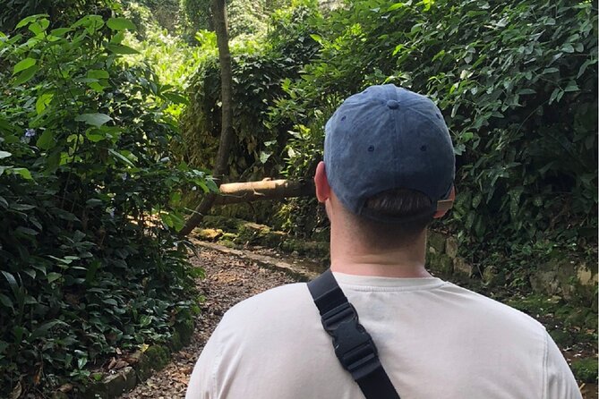 Entebbe Walking Tour (3 Hours) with Zoo and Botanical Gardens Options - Meeting artists at Entebbe Crafts Village