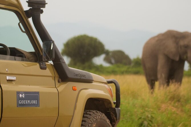 Exploring The Mighty Falls In Uganda - What the $790 price really covers