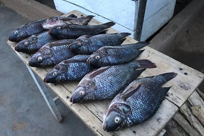 Fishing Village Food Tour & Luwombo Stop - Private touring and the value of the $101.54 price