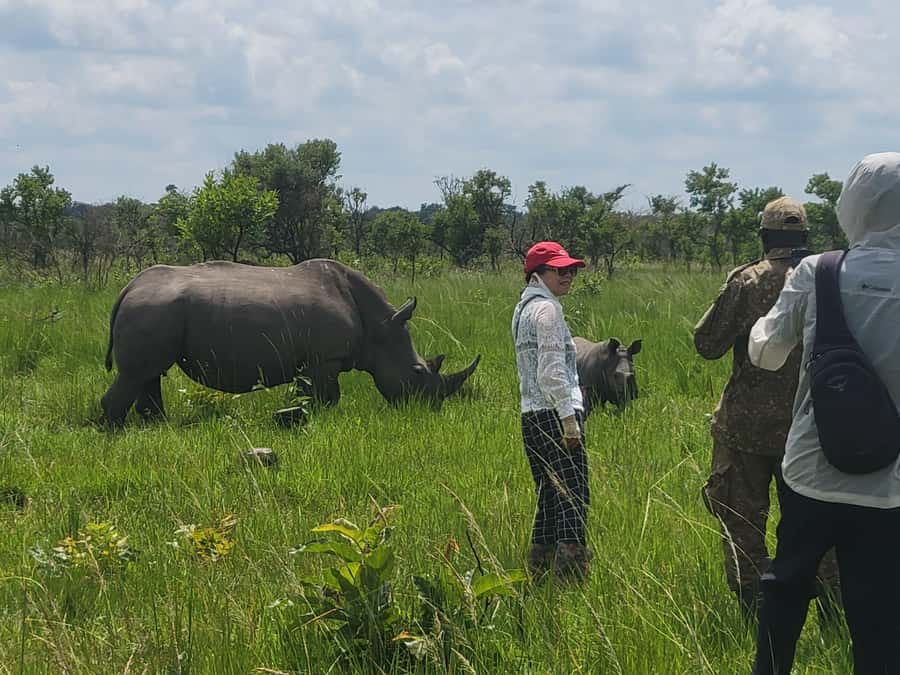 From Kampala: Ziwa Rhino Sanctuary Day Tour with Lunch - How to prepare for the road and the walk