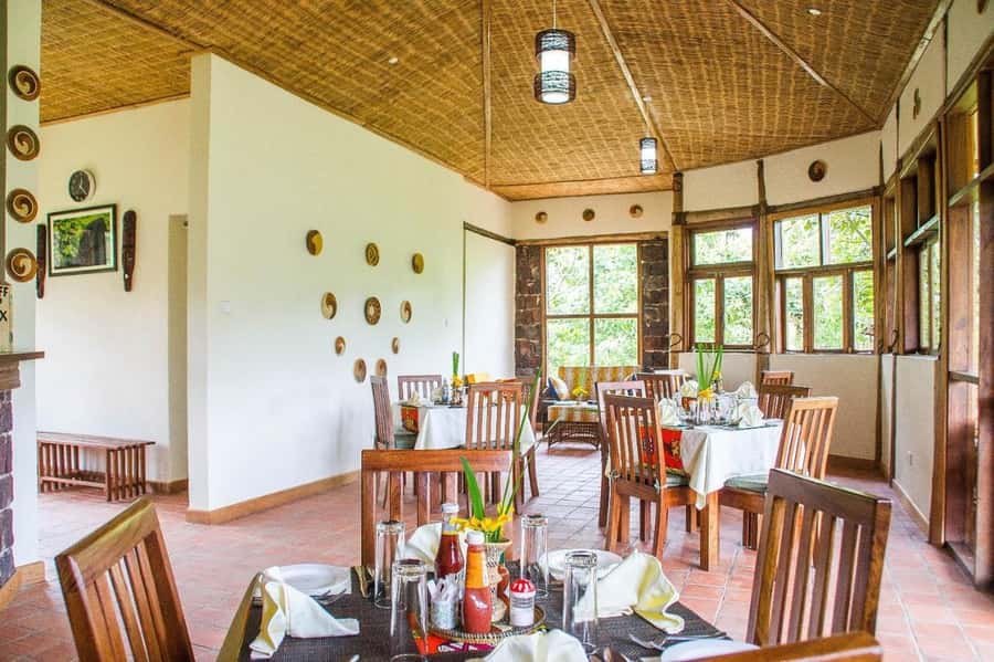 From Kigali: 2-Day Gorilla Trek: Bwindi Nat Park - The one-hour meeting with a gorilla family