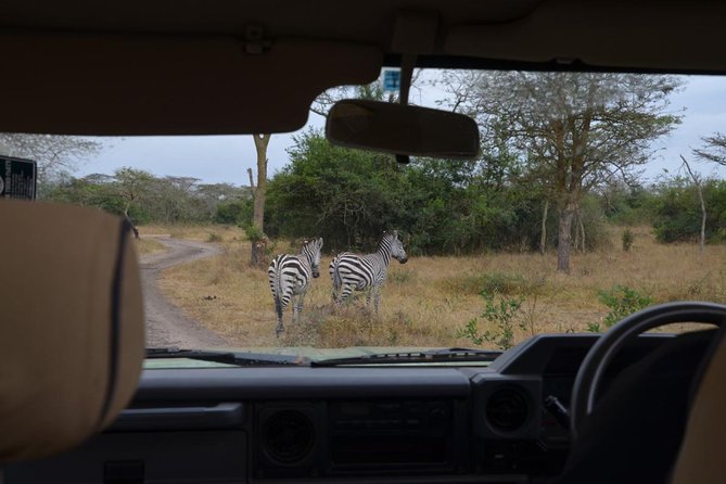 Full-Day Lake Mburo National Park Safari with Boat trip (2 day option available) - Why Lake Mburo works as a one-day safari