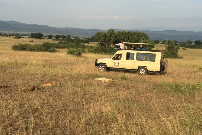 Gorilla & Chimpanzee Trekking in Uganda - 5 Days - Day 1: The equator and Queen Elizabeth National Park
