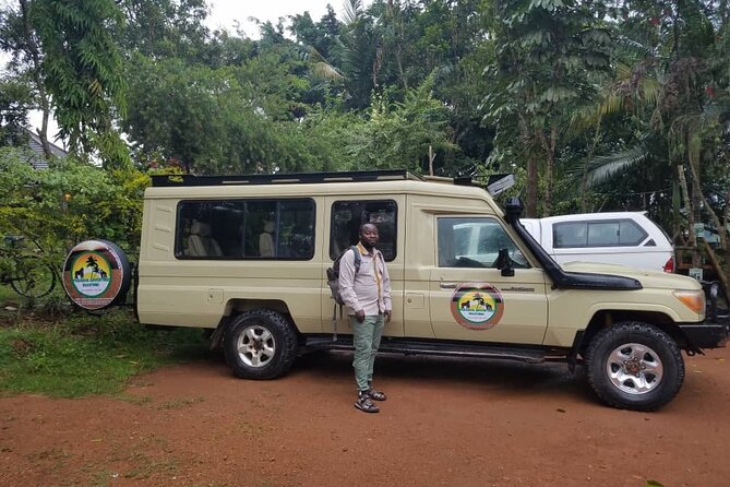 Gorilla & Chimpanzee Trekking in Uganda - 5 Days - Day 3: Ishasha’s tree-climbing lions and Bwindi