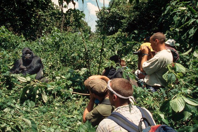 Gorilla Tracking & Batwa Culture Experience - What the $2,840 price means