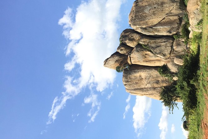 Gorilla trekking - Day 3: the long return and equator stop