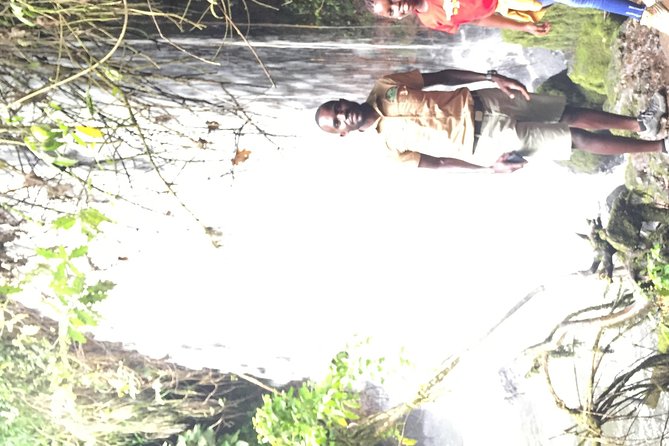 Gorilla trekking - Private travel and the guide make a difference