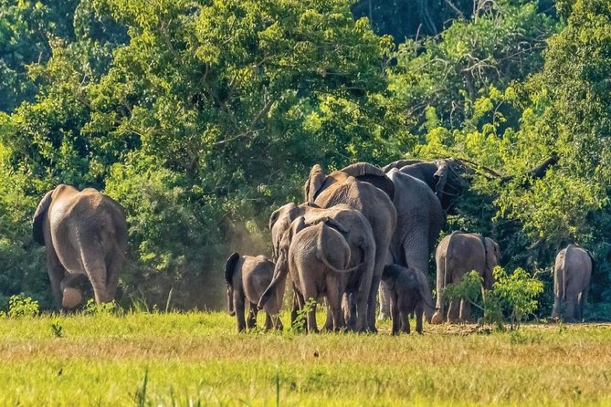 Guided Safari to Murchison Falls from Masindi - The drive into Murchison Falls National Park