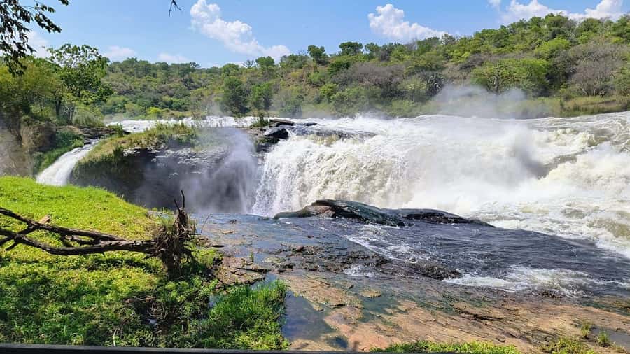 Kampala: 3-Day Murchison Falls Safari - The Big Payoff: Murchison Falls and the Victoria Nile