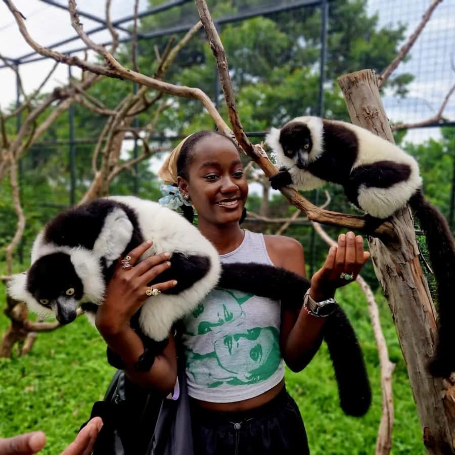 Kampala: Conservation Centre for Wildlife Guided Tour - Baby cubs, mud, and close animal contact