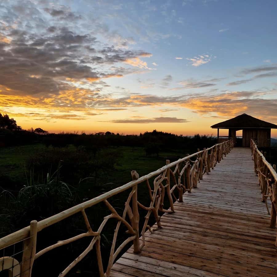 Kampala: Conservation Centre for Wildlife Guided Tour - Practical advice for making the day work