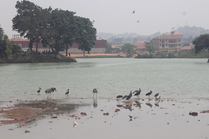 Kampala cultural tours - Traditional food and everyday cultural life