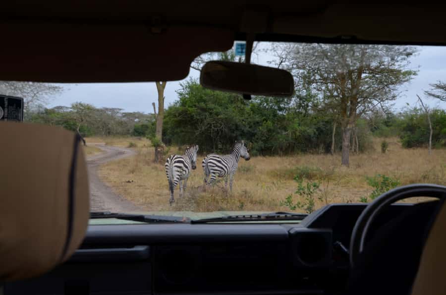 Lake Mburo National Park with Equator, Game Drive & Cruise - Where This Tour Can Fall Short