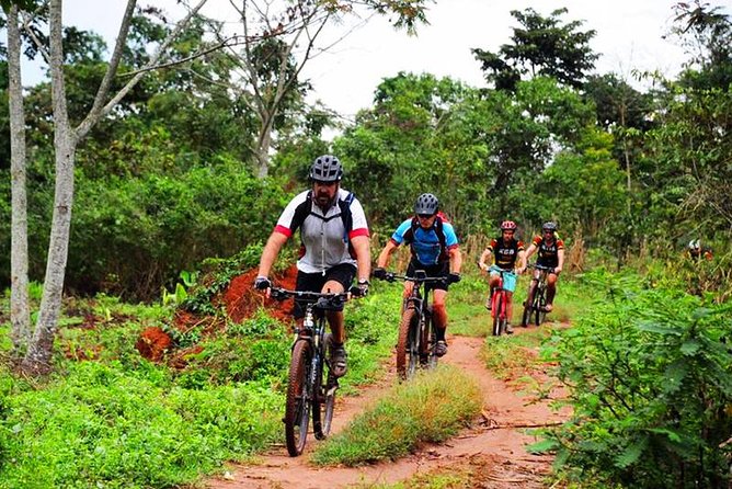 Lake Victoria Island Cycling Tour from Kampala - Cycling through Mukono’s villages and forest