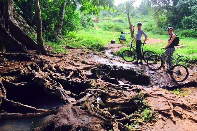 Lake Victoria Island Cycling Tour from Kampala - Why the bikes and guide matter