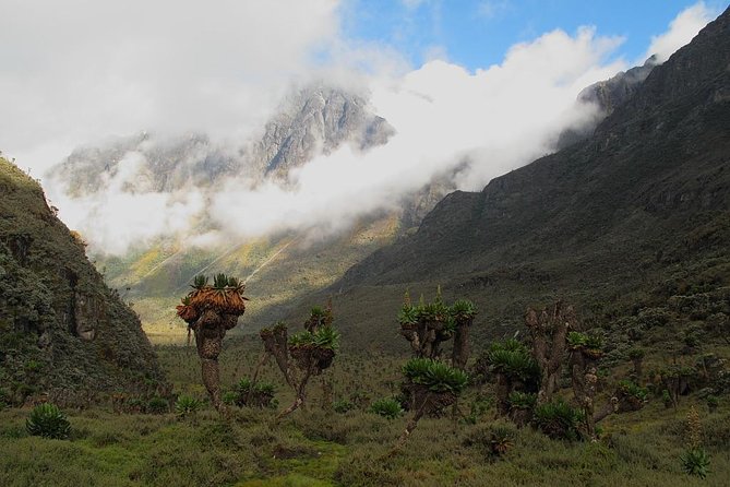 Mountain Rwenzori Trekking Uganda 9 Day Safari - Day 4: Bigo Bog and Lake Bujuku