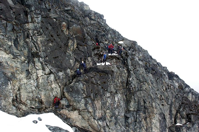 Mountain Rwenzori Trekking Uganda 9 Day Safari - Day 7: Freshfield Pass and Guy Yeoman Hut