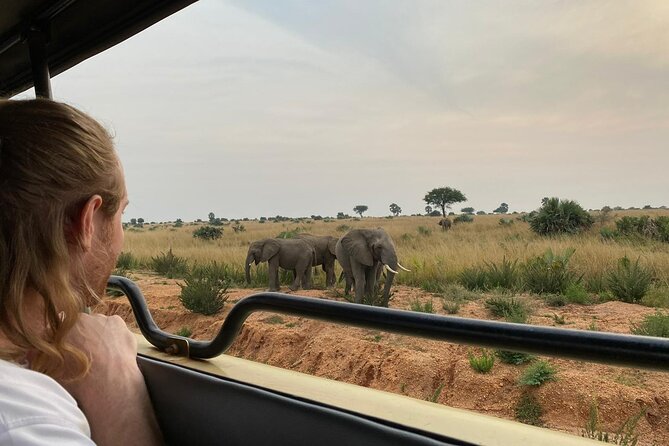 Murchison Falls National Park - 3 Days - Day 1: From Entebbe to Ziwa rhinos and Murchison