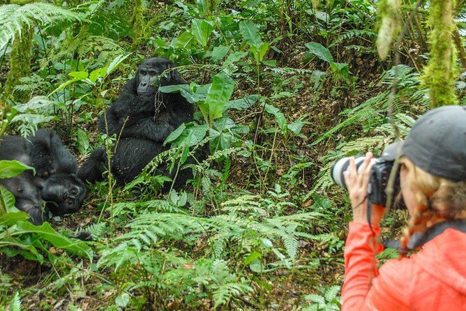 Private 3 Day Gorilla Trekking Safari in Uganda - What to pack and how to prepare