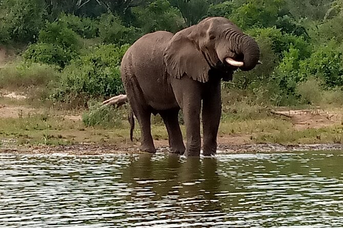 Private 3-Day Tour in Queen Elizabeth Park Safari - Why Queen Elizabeth National Park works well for a three-day safari