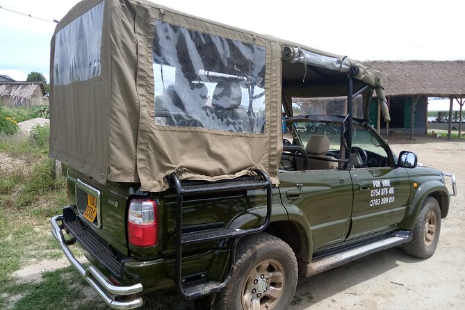 Private 3-Day Tour in Queen Elizabeth Park Safari - The Kazinga Channel cruise and its birdlife