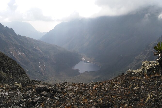 Rwenzori Mountains Trekking with Margherita Peak Summit - Day 6: Freshfield Pass and the Route Back