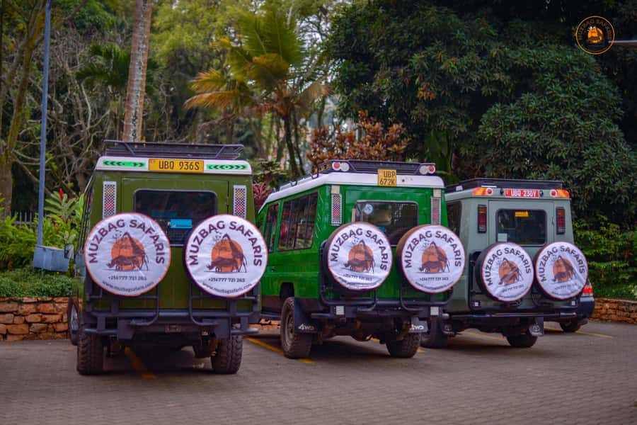 The Big5 3 Days Wildlife Adventure Experience in Uganda. - What the $900 Uganda safari actually includes