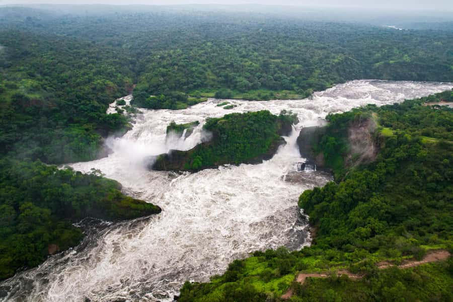 The Big5 3 Days Wildlife Adventure Experience in Uganda. - Game drives in Uganda’s oldest and largest park